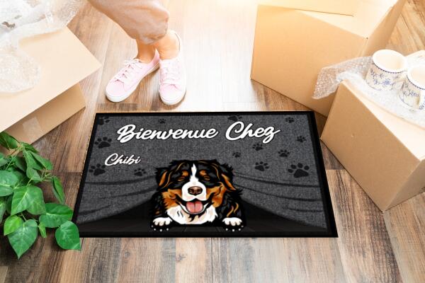 Paillasson de Bienvenue -Chats et chiens - 3 Couleurs disponibles