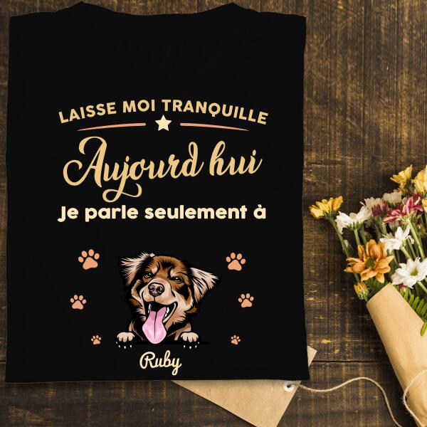 Laisse moi tranquille Aujourd'hui Je parle seulement à mon Chats ou chiens - personnalisables