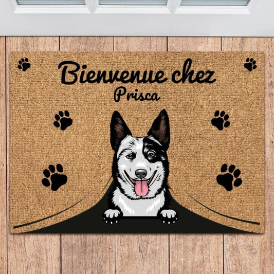 Bienvenue chez - Paillasson personnalisé - Texte, chiens, chats et noms personnalisables, Jusqu'à 3 animaux